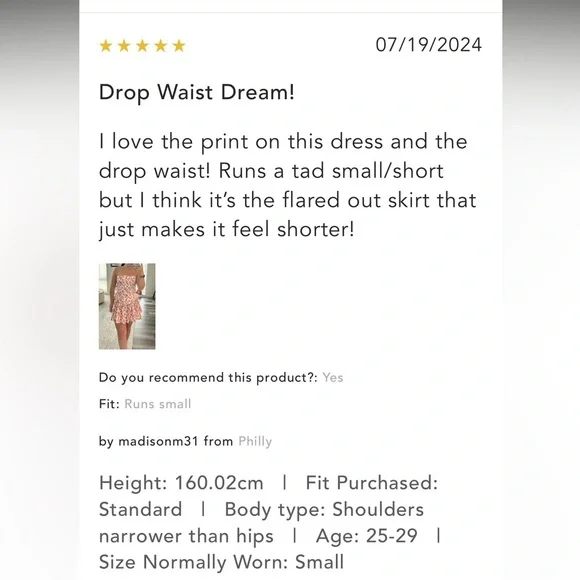 Anthropologie NWT Maeve Drop-Waist Mini Dress size L. - Picture 13 of 16